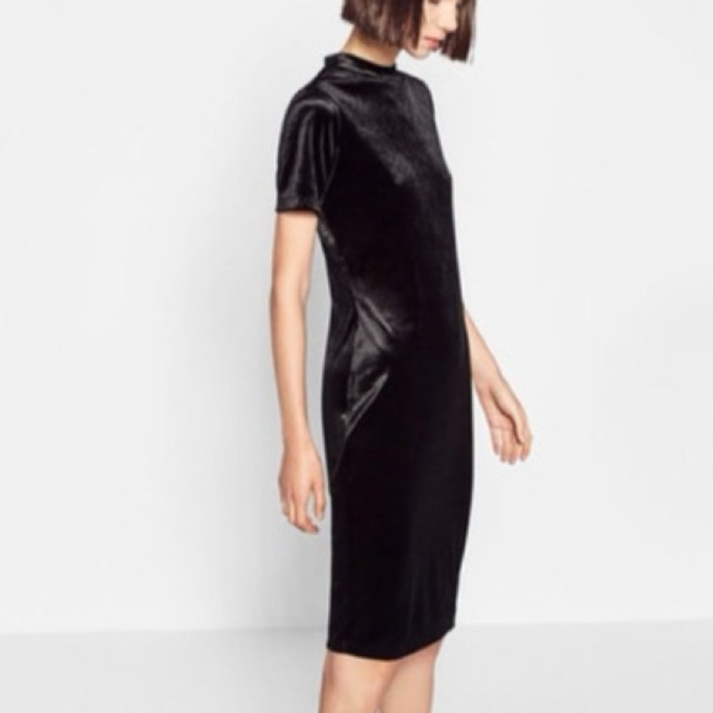 Zara velvet dress black soft stretch short sleeve mid length Womens Sz S